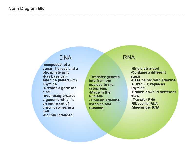 Dna Vs Rna Understanding The Venn Diagram Worksheet